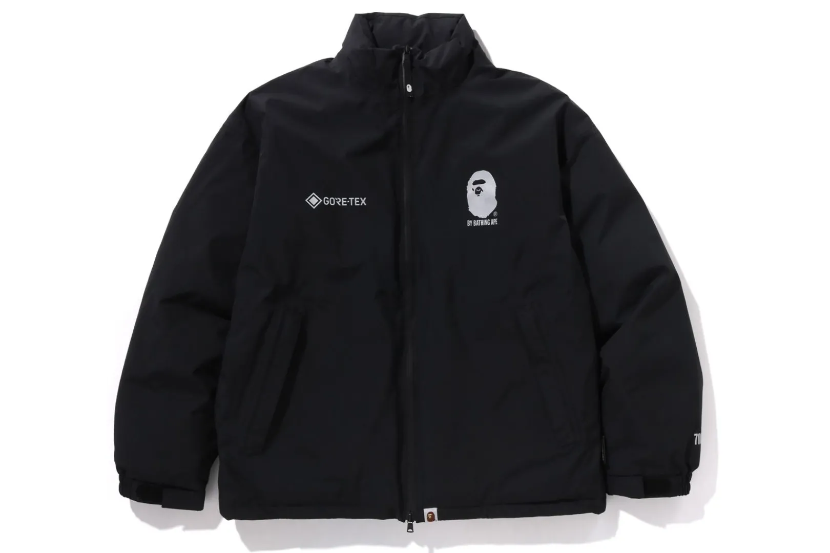 0ZX GORE-TEX DOWN JACKET MENS BLACK New