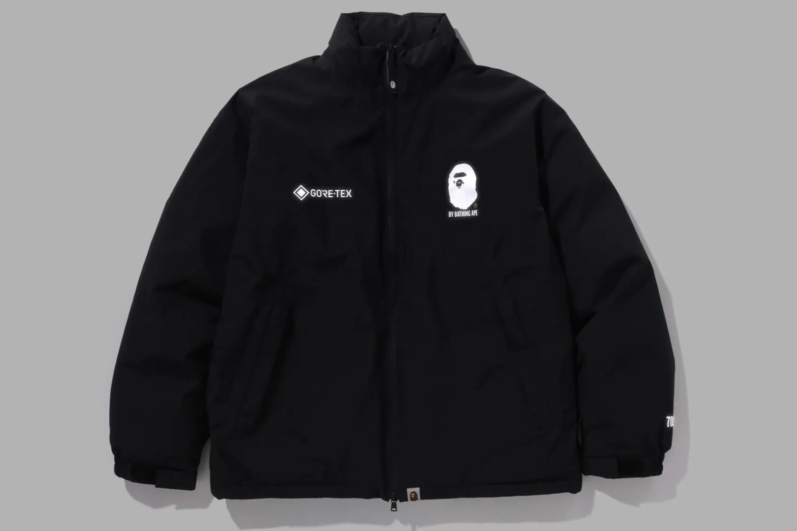 0ZX GORE-TEX DOWN JACKET MENS BLACK New